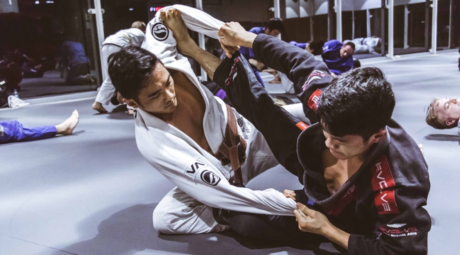 The Anatomy Of The BJJ Guard Position BJJ World