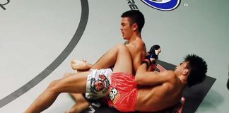 BJJ Chicken Wing Control And Submissions