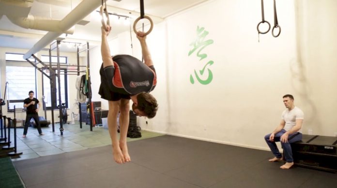 Gymnastic Rings training For Grapplers