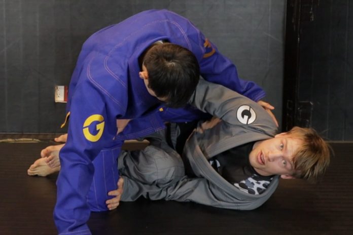 BJJ Frames And Levers