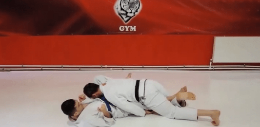 Dogbar BJj Kneebar Submission From Top