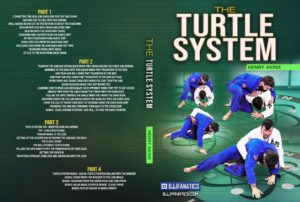 The-Turtle-System-by-Henry-Akins