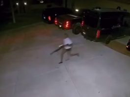 Jon Jones Chases a Car Robber With a Shotgun