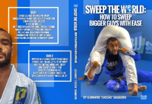 Sweep-The-World-by-Leonardo-Saggioro