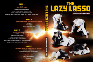 The-Lazy-Lasso-by-Bernardo-Tavolaro