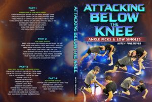 Attacking Below The Knee by Mitch Finesilver