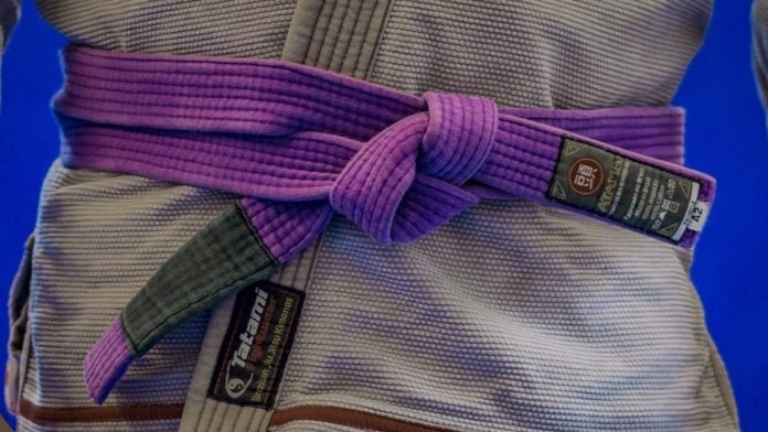 BJJ Purple Belt Requirements And curriculum