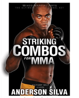 Striking combos by Anderson Silva
