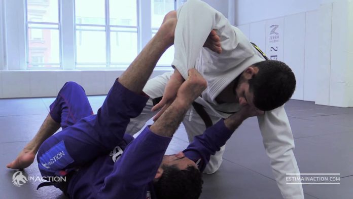 BJJ Spider Guard: How To Become An Apex Predator