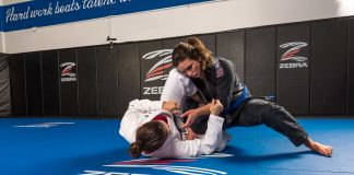 Making Sense Of The Most Important Jiu-Jitsu Positions