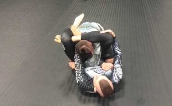 Do You Know The Dead Orchard Arm Bar Attack?