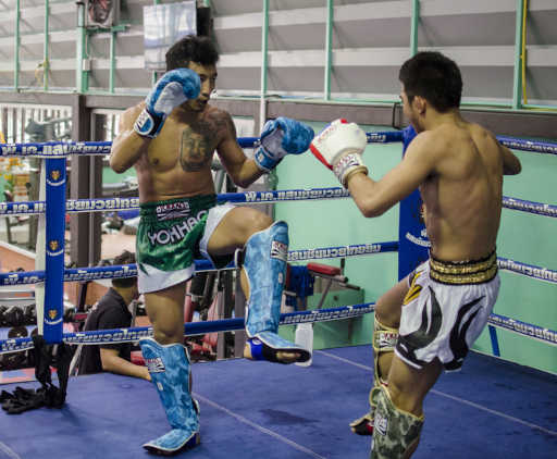 Fairtex SP5  Shin Guards Muay Thai Kick Boxing Competition Shin Pads Protection 