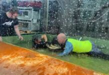 Jiu-Jitsu Guy Mounts an Alligator and Saves a Woman’s Life