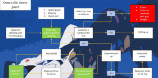 open Guard Flow Chart