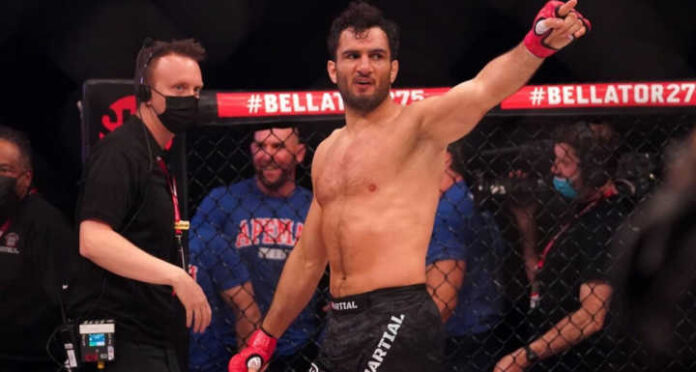 Gegard Mousasi is unstoppable: He literally went through 'Mr. VanZant'