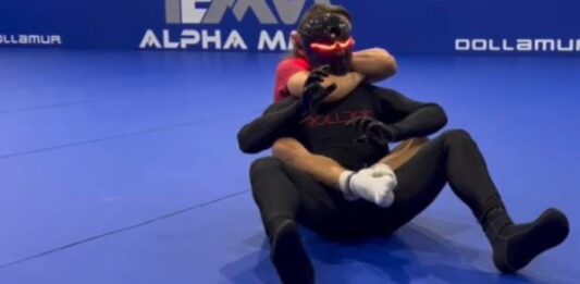 Rollbot: AI Powered grappling dummy