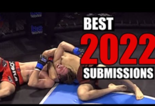 5 best MMA submissions in 2022