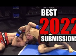 5 best MMA submissions in 2022