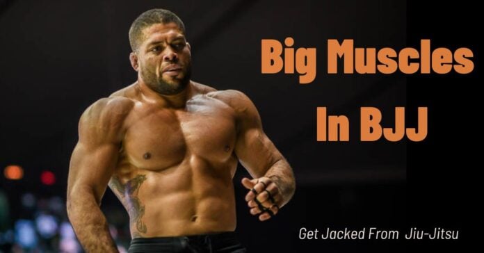 Big Muscles In BJJ: Can You Get Jacked From BJJ?