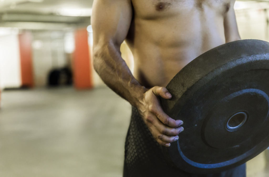 FullBody Plate Workout Circuits for JiuJitsu Strength and