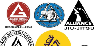 The Differences Of The Most Famous Schools of Jiu-Jitsu