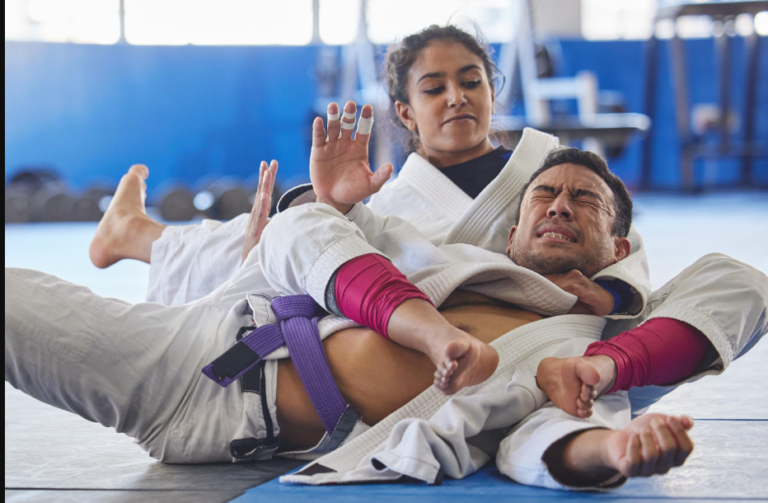 The 10 Best Martial Arts for SelfDefense BJJ World