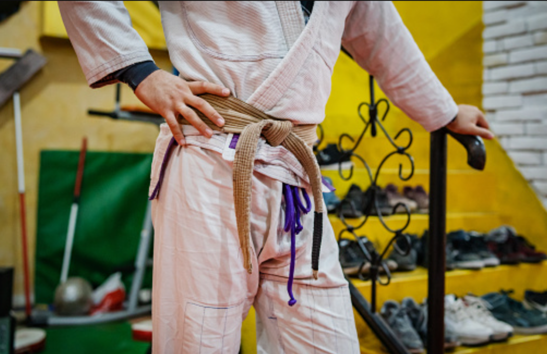 The Thrilling Brown Belt JiuJitsu Journey and Its Rewards BJJ World
