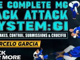 The Complete MG Back Attack System DVD Review
