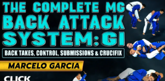 The Complete MG Back Attack System DVD Review