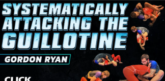 Review: Systematically Attacking The Guillotine Gordon Ryan DVD