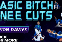 Basic Bitch Knee Cuts: A Ffion Davies DVD Review