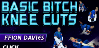 Basic Bitch Knee Cuts: A Ffion Davies DVD Review