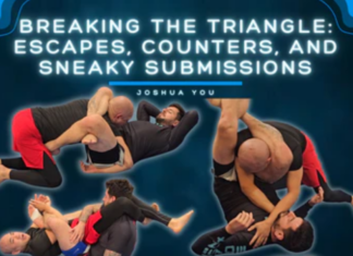 Breaking The Triangle: A Joshua You BJJ DVD Review