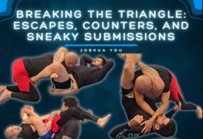 Breaking The Triangle: A Joshua You BJJ DVD Review