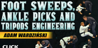 DVD Review: Foot Sweeps Ankle Picks And Tripods By Adam Wardzinski