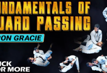 Fundamentals Of Guard Passing Kron Gracie DVD Review