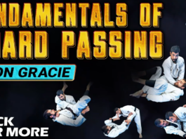 Fundamentals Of Guard Passing Kron Gracie DVD Review