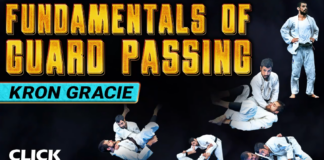 Fundamentals Of Guard Passing Kron Gracie DVD Review