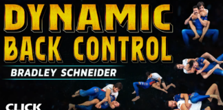 Bradley Schneider BJJ DVD Review: Dynamic Back Control