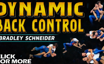 Bradley Schneider BJJ DVD Review: Dynamic Back Control