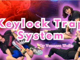 Vanessa Waltz DVD Review: Keylock Trap System