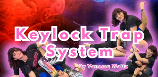 Vanessa Waltz DVD Review: Keylock Trap System