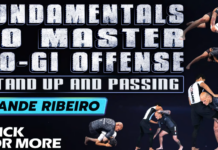 Xande Ribeiro No-Gi Offense DVD Review: Stand Up and Passing