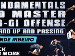 Xande Ribeiro No-Gi Offense DVD Review: Stand Up and Passing