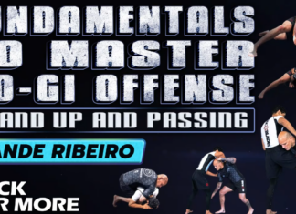 Xande Ribeiro No-Gi Offense DVD Review: Stand Up and Passing