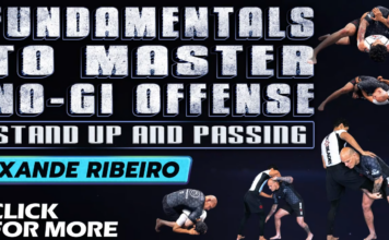 Xande Ribeiro No-Gi Offense DVD Review: Stand Up and Passing