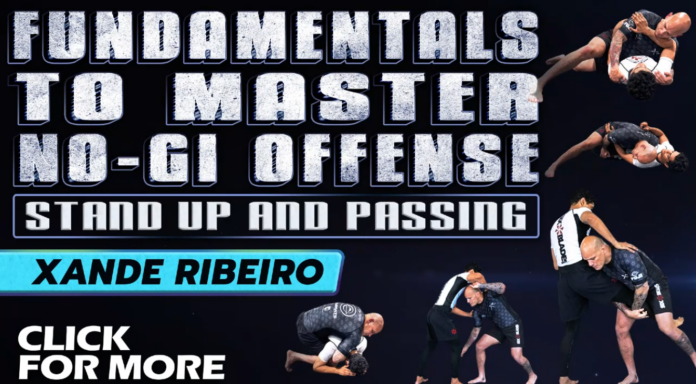 Xande Ribeiro No-Gi Offense DVD Review: Stand Up and Passing