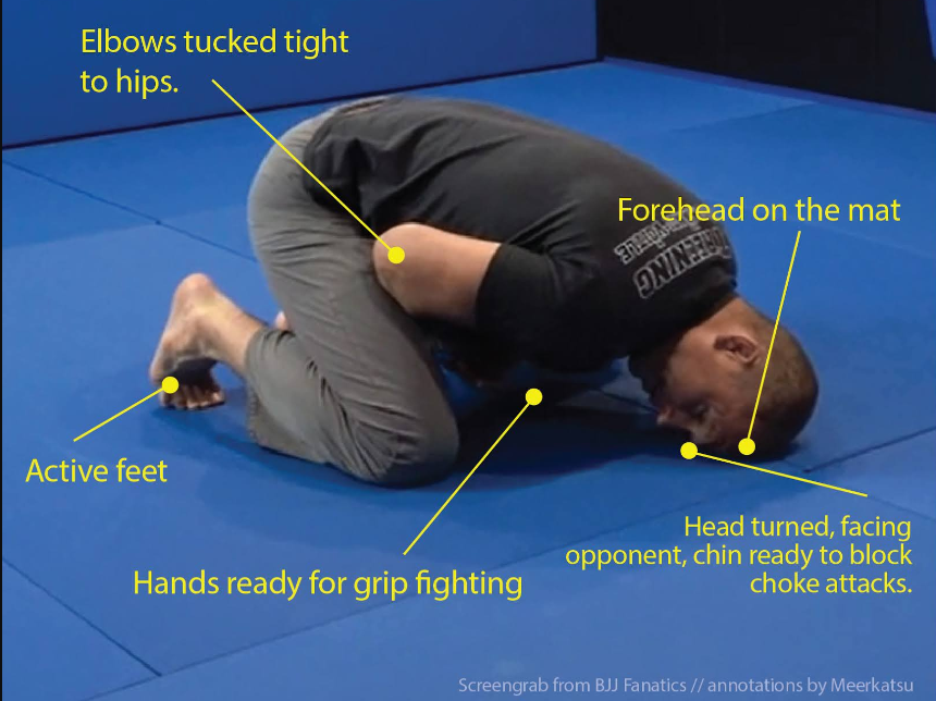 Modern defensive turtle position in BJJ