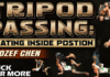 Tripod Passing Jozef Chen DVD Review: Beating Inside Position