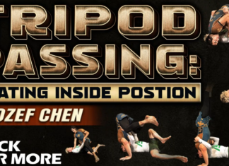 Tripod Passing Jozef Chen DVD Review: Beating Inside Position